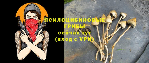 стафф Алексеевка