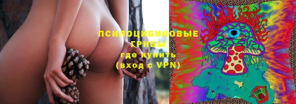 ешки Алзамай