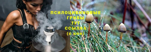 ешки Алзамай