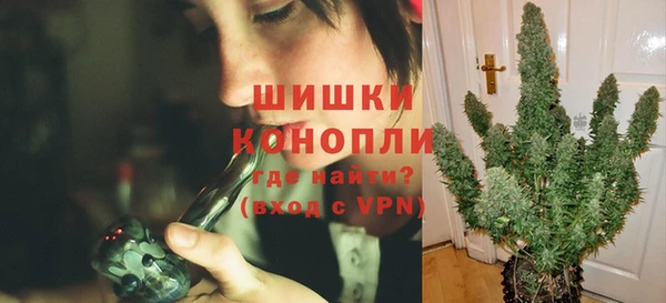 ешки Алзамай