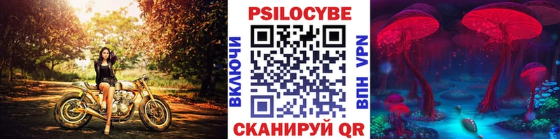 Галлюциногенные грибы Psilocybe  Урай 